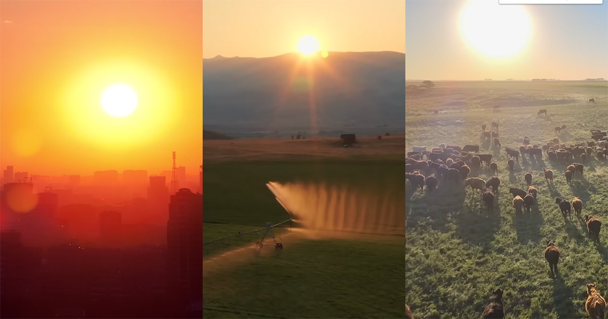 Rotação de culturas combina produtividade com a conservação do solo, contribuindo para a superação dos efeitos trazidos pelas mudanças climáticas