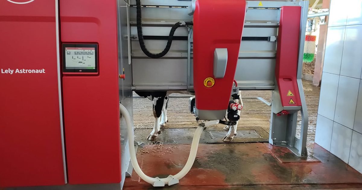 Automatização garante mais economia para propriedades leiteiras