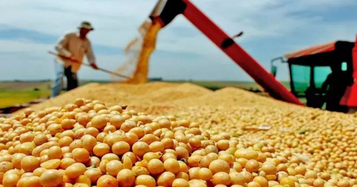 Soja, como o mercado se comportou?