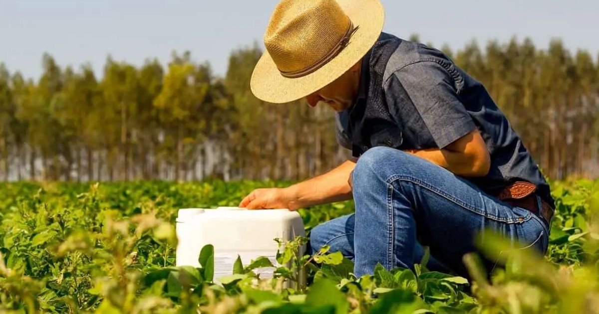 Nutrien lança ferramenta de negociação de insumos