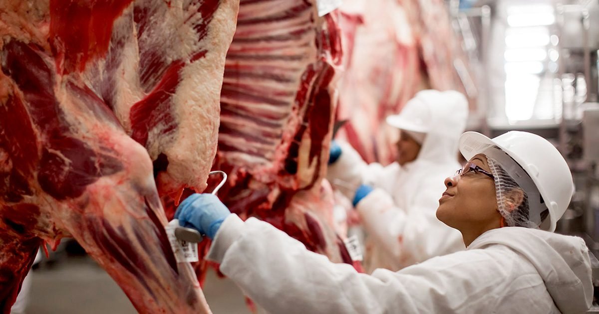 O impacto da retomada da exportação de carne bovina para a China