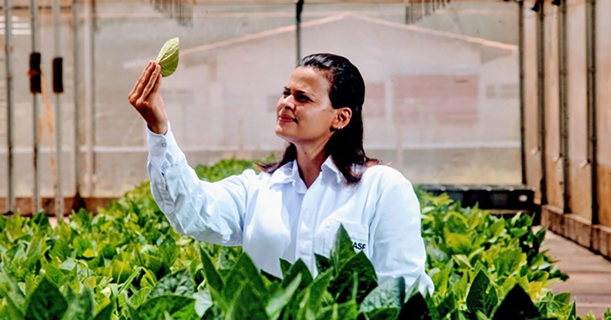 BASF cria soluções integradas para acelerar a transformação do agro