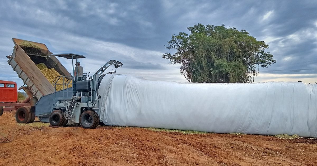 Embolsadora autopropelida torna o armazenamento de silagem eficiente