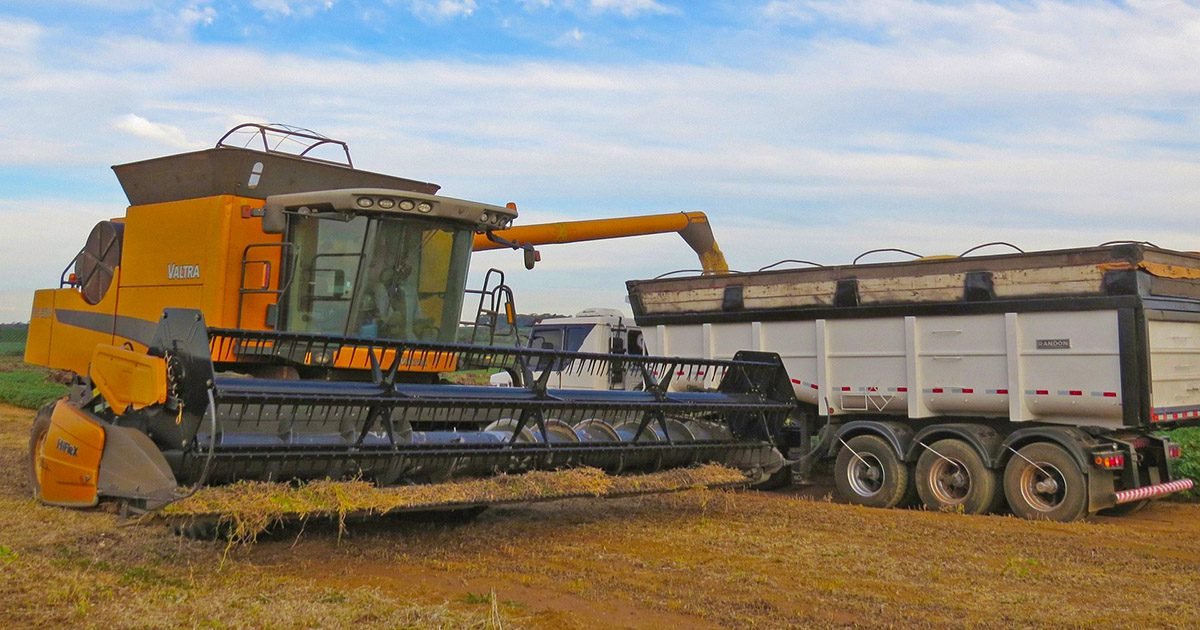 Plataforma ajuda a mitigar os riscos na gestão de commodities agrícolas