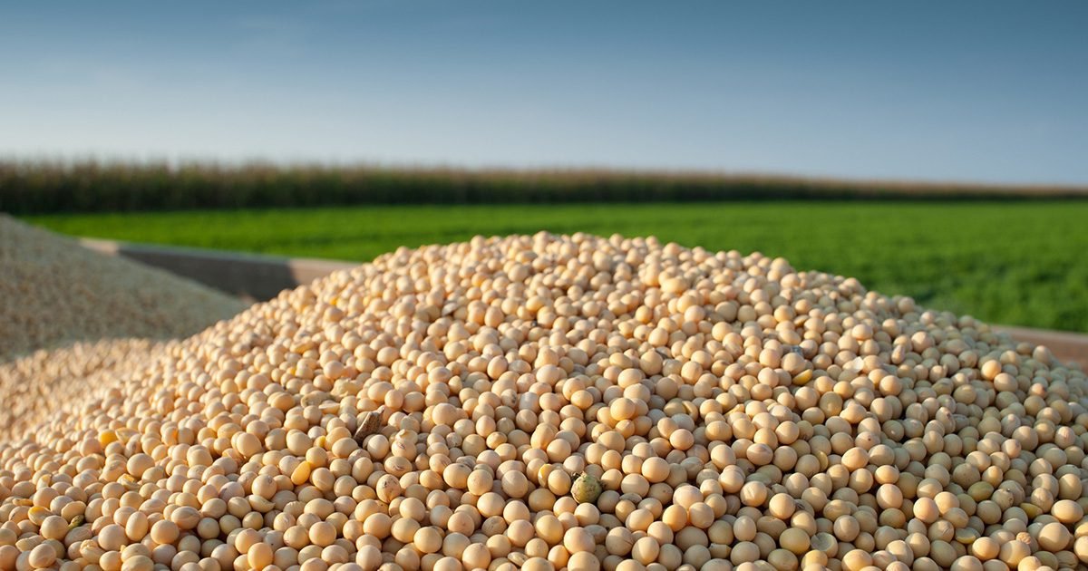 Valor Bruto da Produção Agropecuária: em 2023 serão arrecadados cerca de R＄1,179 trilhões