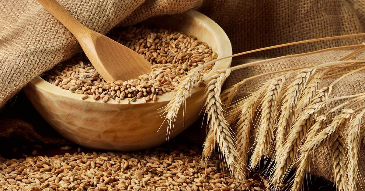 Em um mês, queda do dólar diminui preço do trigo em 3,24% no Brasil