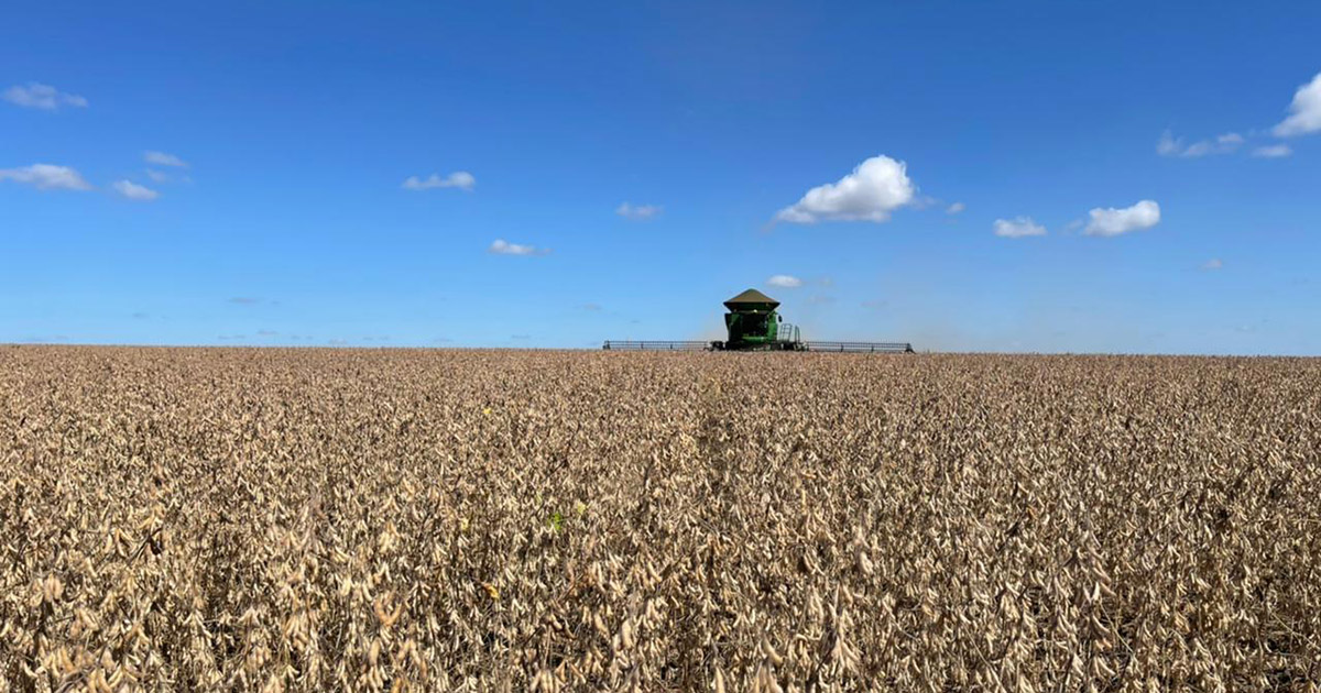 Novo recorde: Conab estima produção de grãos em 315,8 milhões de toneladas