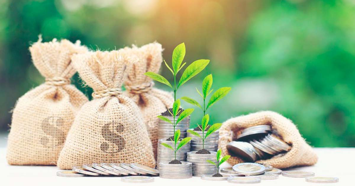Agronegócio: empresa de consórcio teve aumento de 30% na busca por ampliação nos negócios e em novas tecnologias