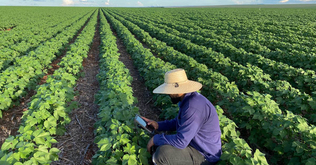 Com campanha “Barter em Campo”, Syngenta auxilia agricultores em mercado incerto por meio de operações de barter