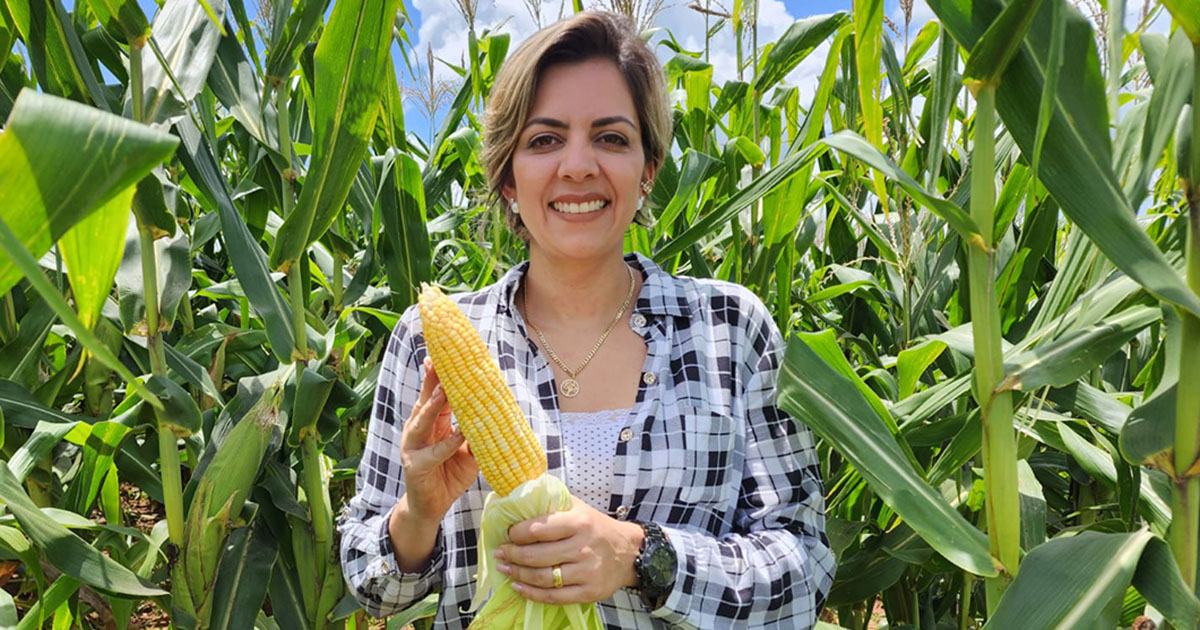 Bioprodutos minimizam efeitos adversos de condições climáticas no campo