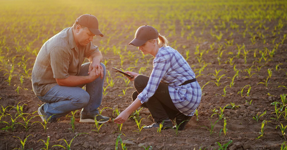 Produtoras investem na capacitação de colaboradores para ampliar negócios