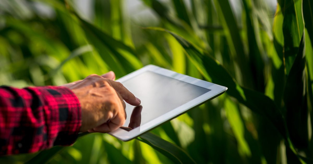 Como o agronegócio pode se defender de ciberataques