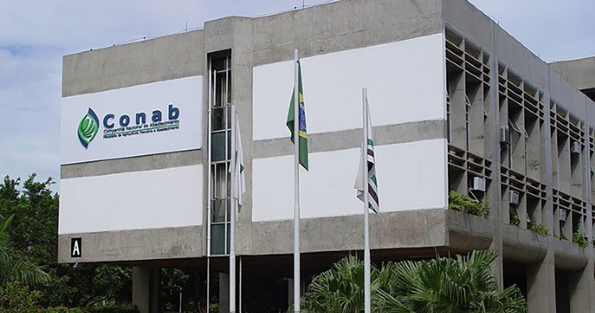 Conab estima produção de carnes ultrapassando 29 milhões de toneladas, maior nível na série histórica