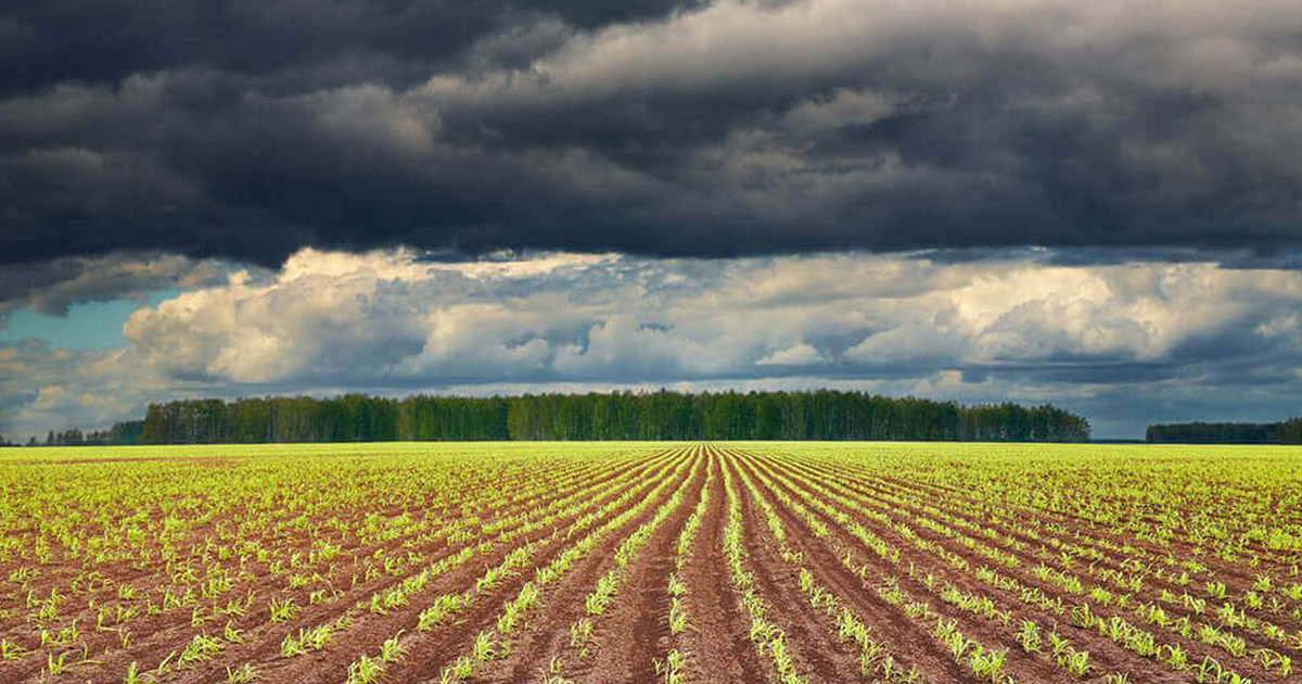 Inverno e El Niño: agricultura busca soluções para enfrentar desafios climáticos