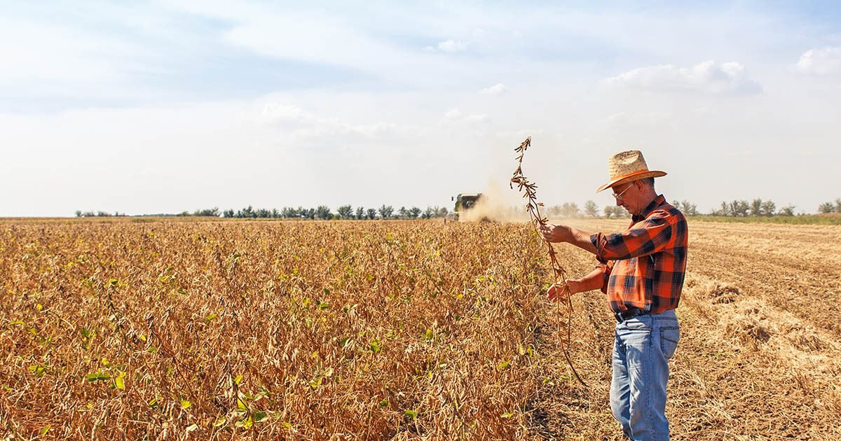 Seguro de crédito: benefícios da ferramenta financeira que protege empresas e, agora, o produtor rural