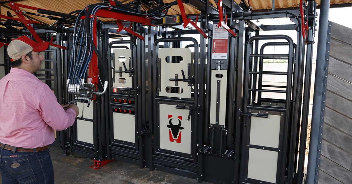 Atualizar a contenção bovina é estratégia para alavancar produtividade e o lucro da atividade pecuária