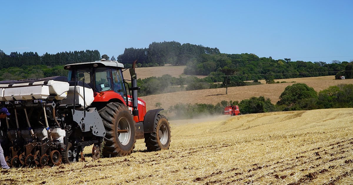 Diversificação de cultivos na metade Sul do RS gera novas oportunidades