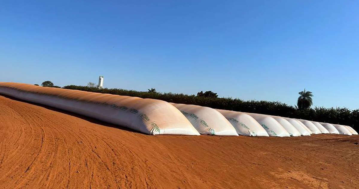 Venda recorde de silo-bolsa ajuda a amenizar o déficit de armazenamento no Brasil