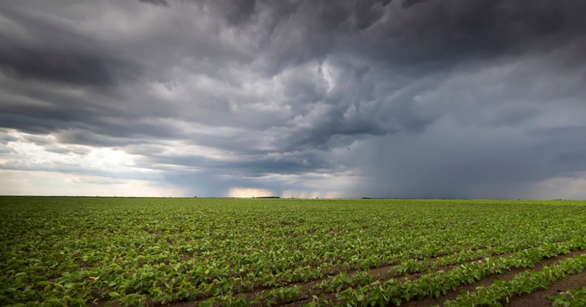 Intensidade do El Niño impacta o agro brasileiro