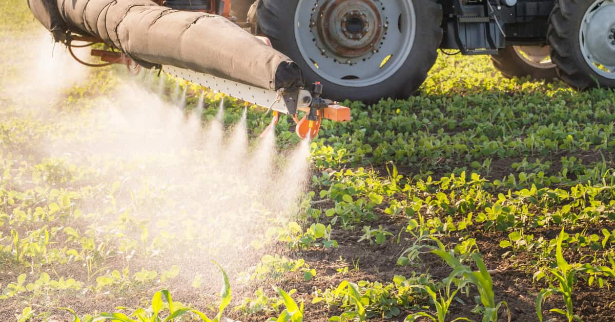 70% dos fertilizantes utilizados no agro brasileiro são importados