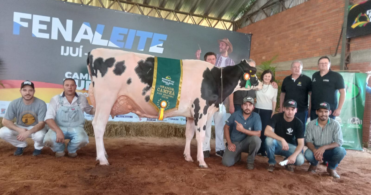 Fenaleite de Ijuí conhece os grandes campeões da raça Holandesa