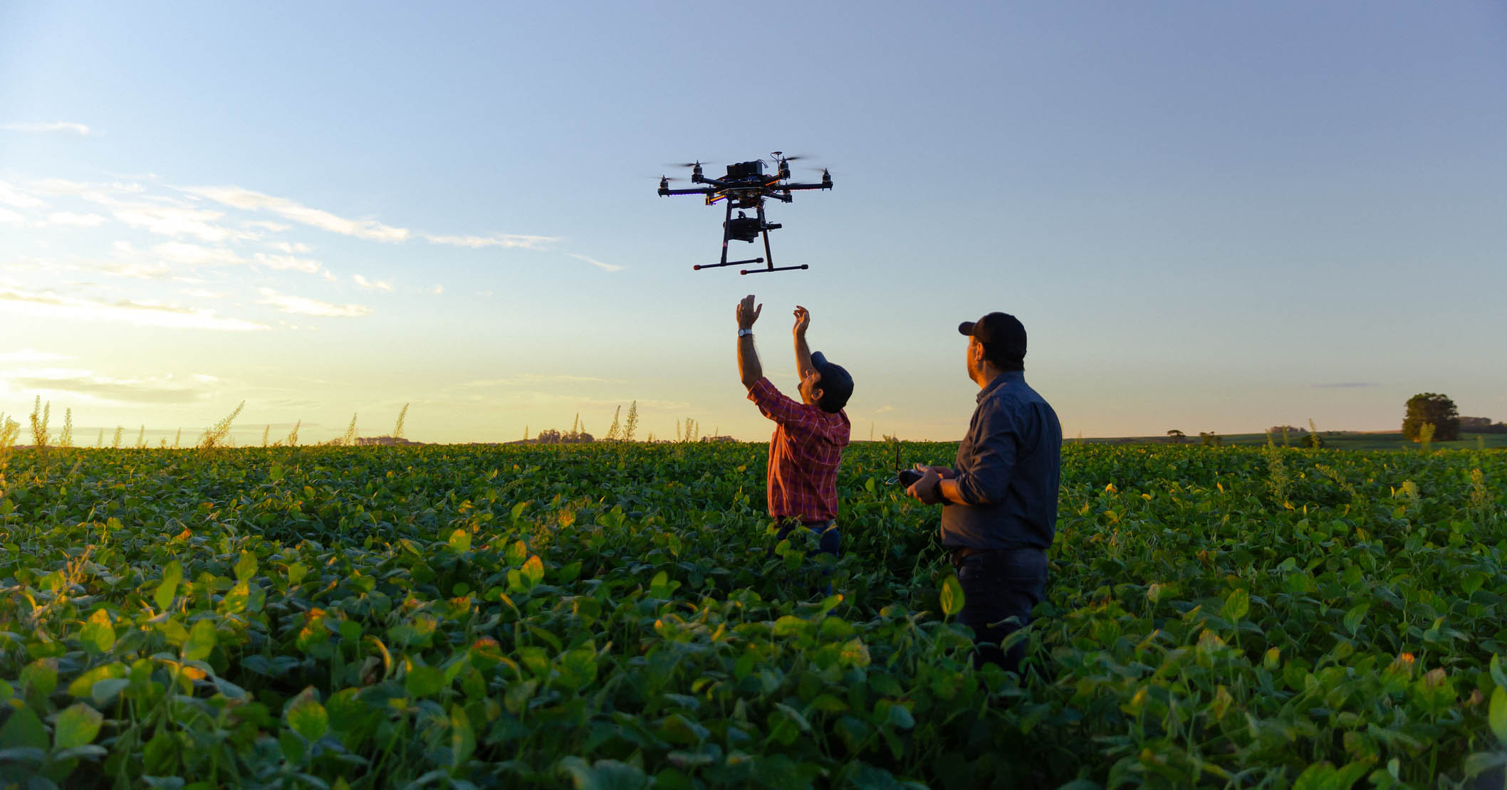 Cinco tendências para o agronegócio em 2024
