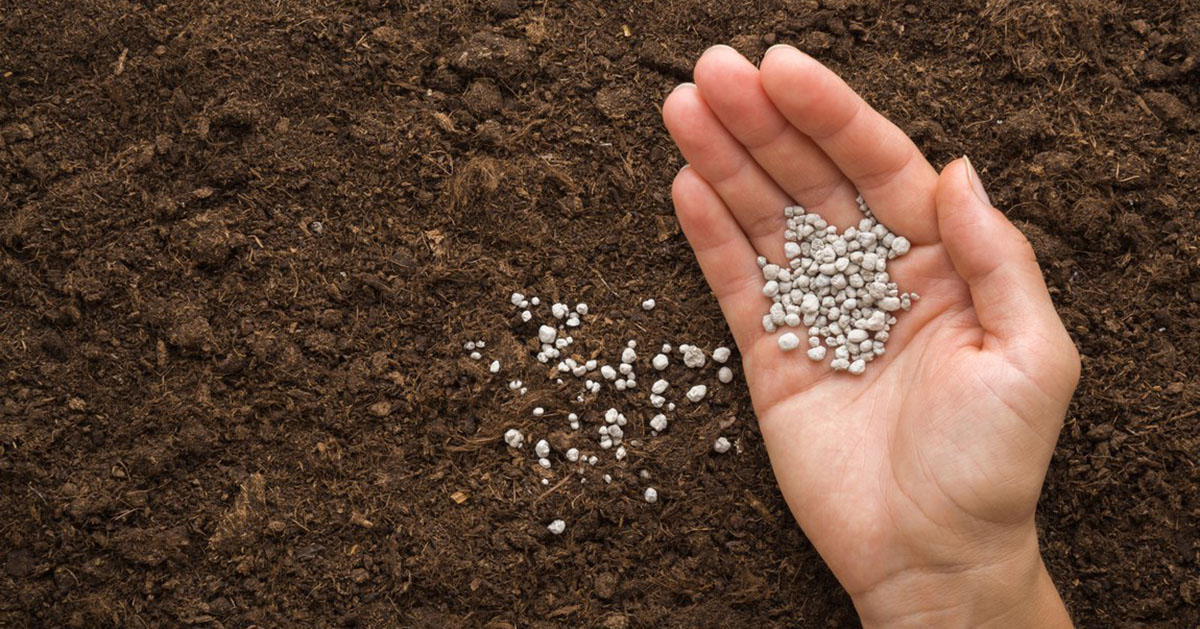 Índice mostra que cenário segue favorável para agricultor investir em fertilizantes