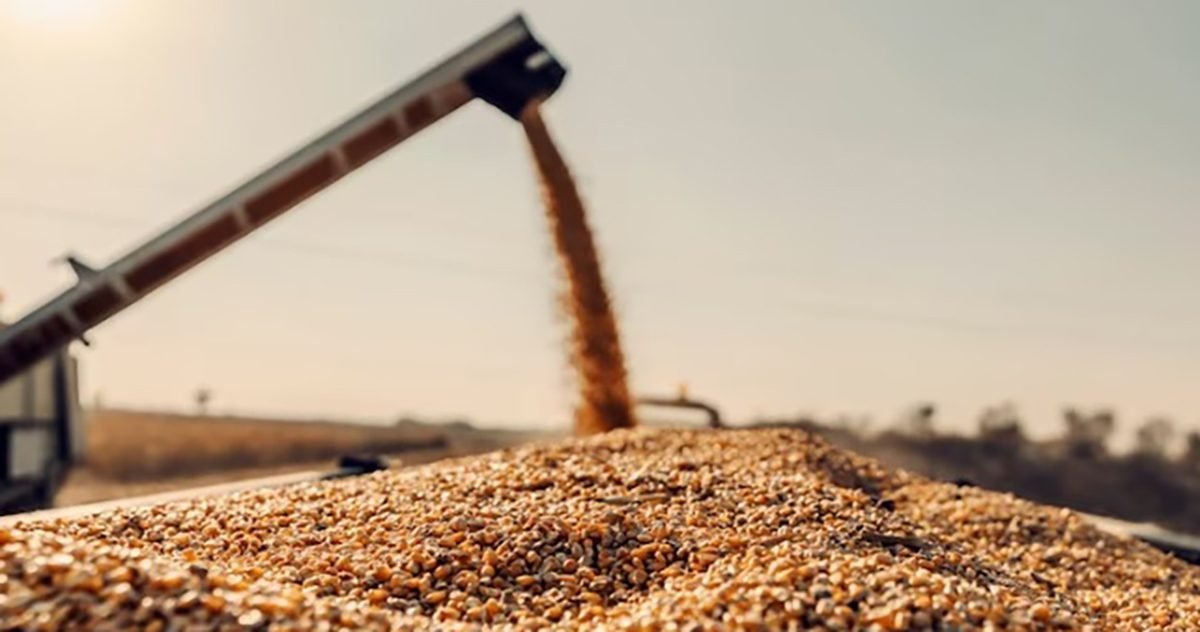 É preciso ter cautela com venda antecipada de grãos
