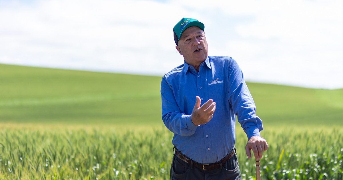 El Niño, PIB e o Agronegócio Brasileiro
