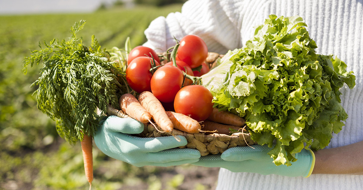 Apesar de ser maioria no agronegócio Brasil, agricultura familiar sofre desafios, como a baixa renda dos trabalhadores