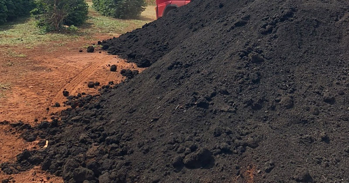 Adubos orgânicos podem contribuir para reduzir dependência de fertilizantes importados