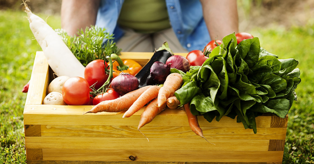 Tendências do mercado de alimentos perecíveis em 2024