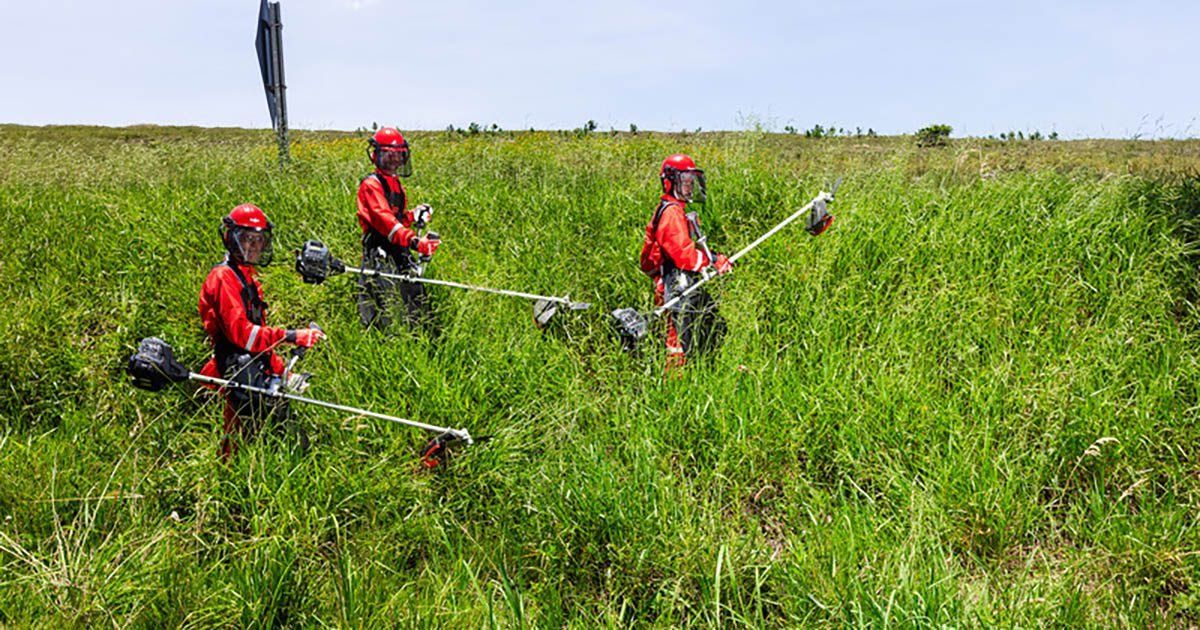Branco Motores lança roçadeiras Elite no Show Rural Coopavel 2024