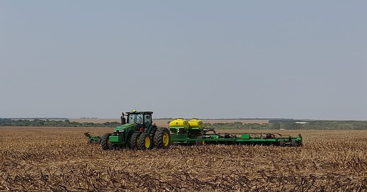 Soja 23/24: Com final do plantio se aproximando, produtor deve ficar atento a pragas e mudanças climáticas ao longo do ciclo