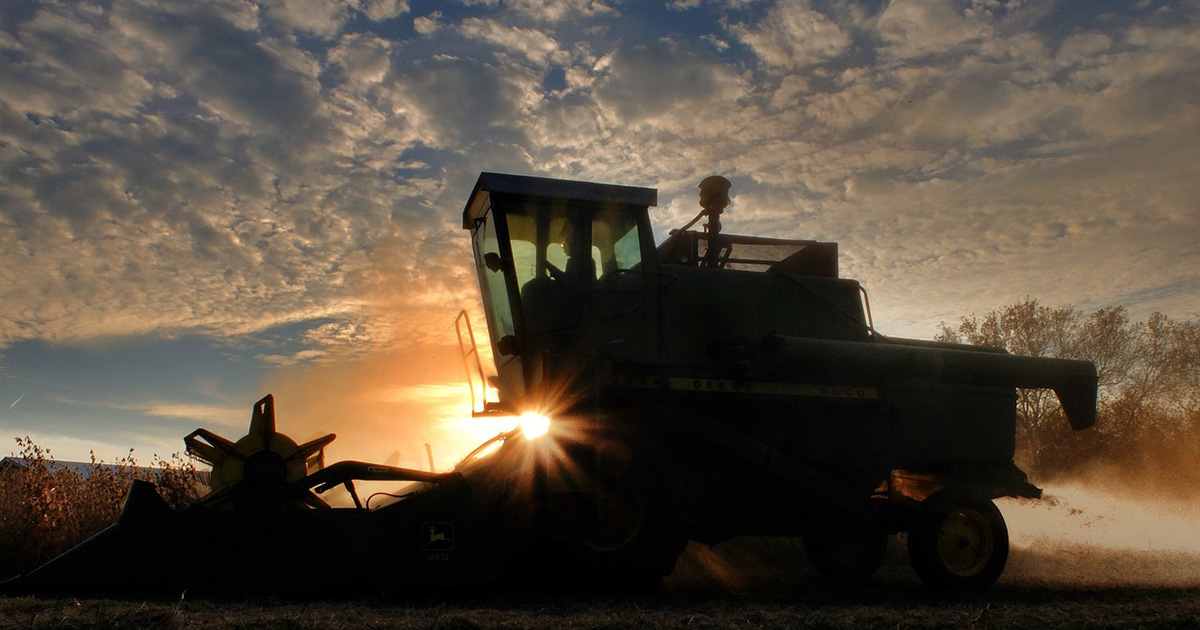 O que o setor de agronegócio exige do profissional do futuro?