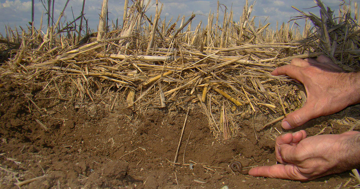 Conservação do solo ajuda a otimizar o gerenciamento da água na agricultura