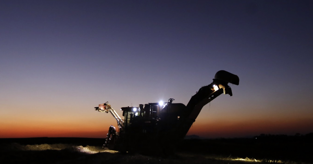 Cintilação na agricultura de precisão: o papel crucial da tecnologia