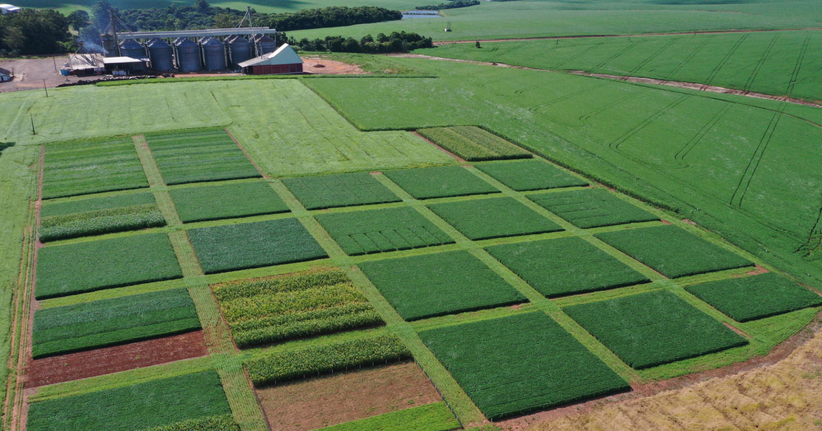 Coonecta Agro Cotribá promove a conexão entre inovação e agricultura