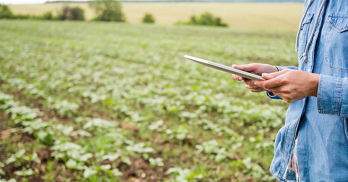 BMG Agro: Investimentos em recursos técnicos e tecnológicos criam cenário de equilíbrio em ano desafiante