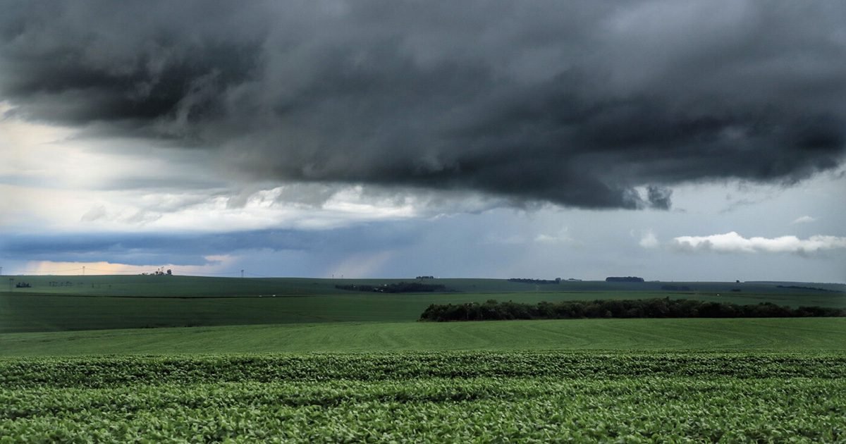 La Niña ou Neutralidade Climática? O que virá após o forte El Niño