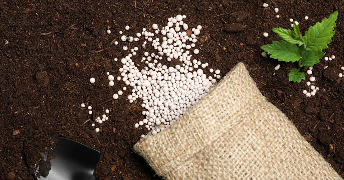 Agricultor tem momento favorável para compra de fertilizantes