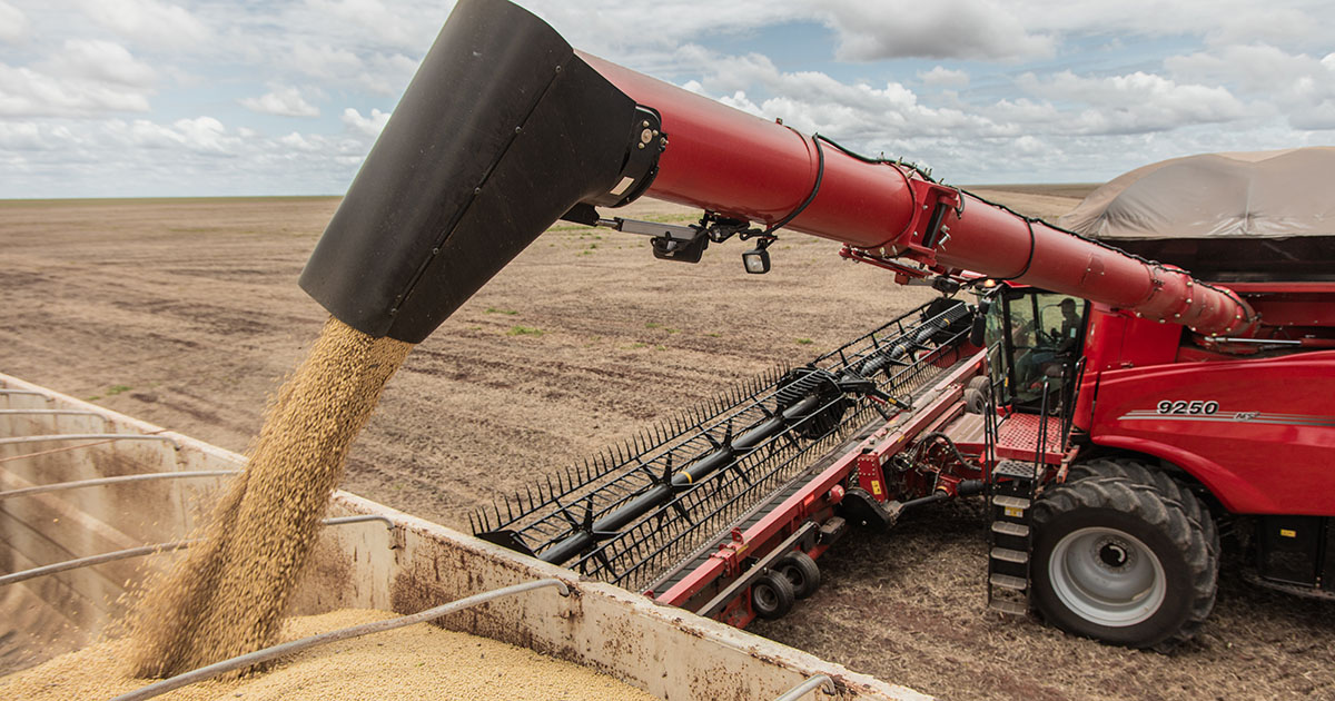 Tecnologia reduz perdas causadas por El Niño e mantém Brasil como potência mundial no agro