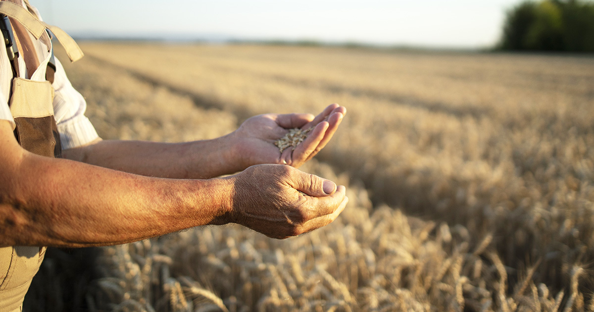 Parceria entre Agrotoken e SLC Máquinas impulsiona o agronegócio no Rio Grande do Sul