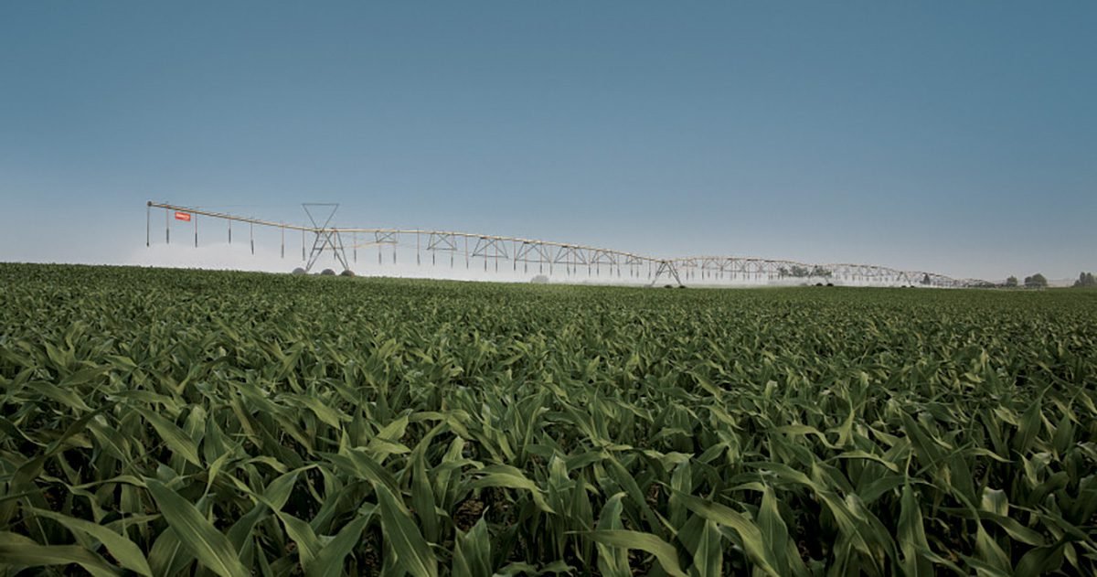 Rio Grande do Sul almeja aumentar a área irrigada em 100 mil hectares