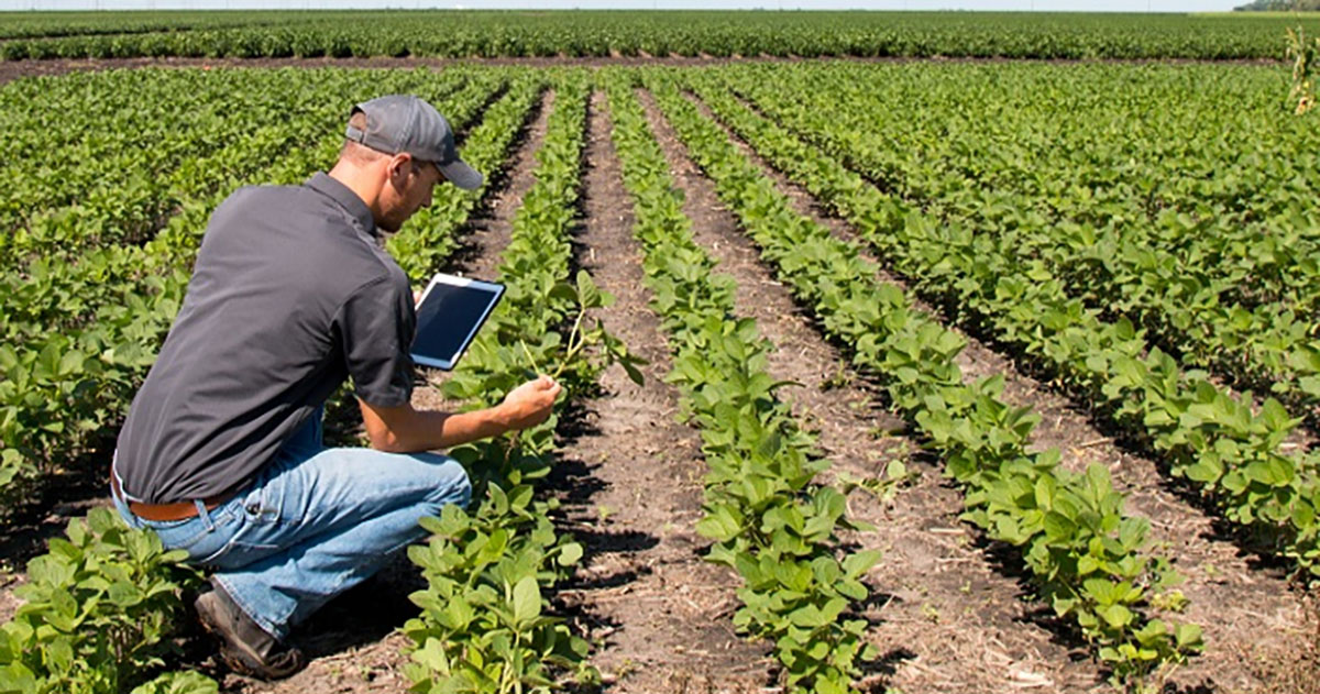 Plataforma educativa gratuita dissemina conhecimento sobre tecnologias na produção rural