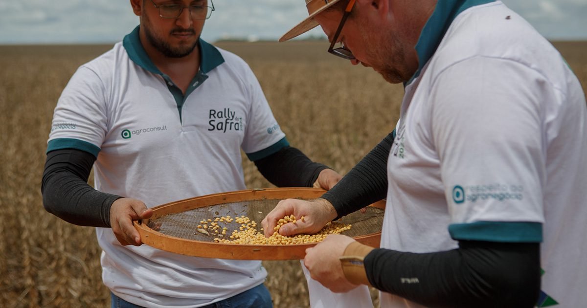 Agroconsult revisa área plantada e produção de soja chega a 156,5 milhões de toneladas