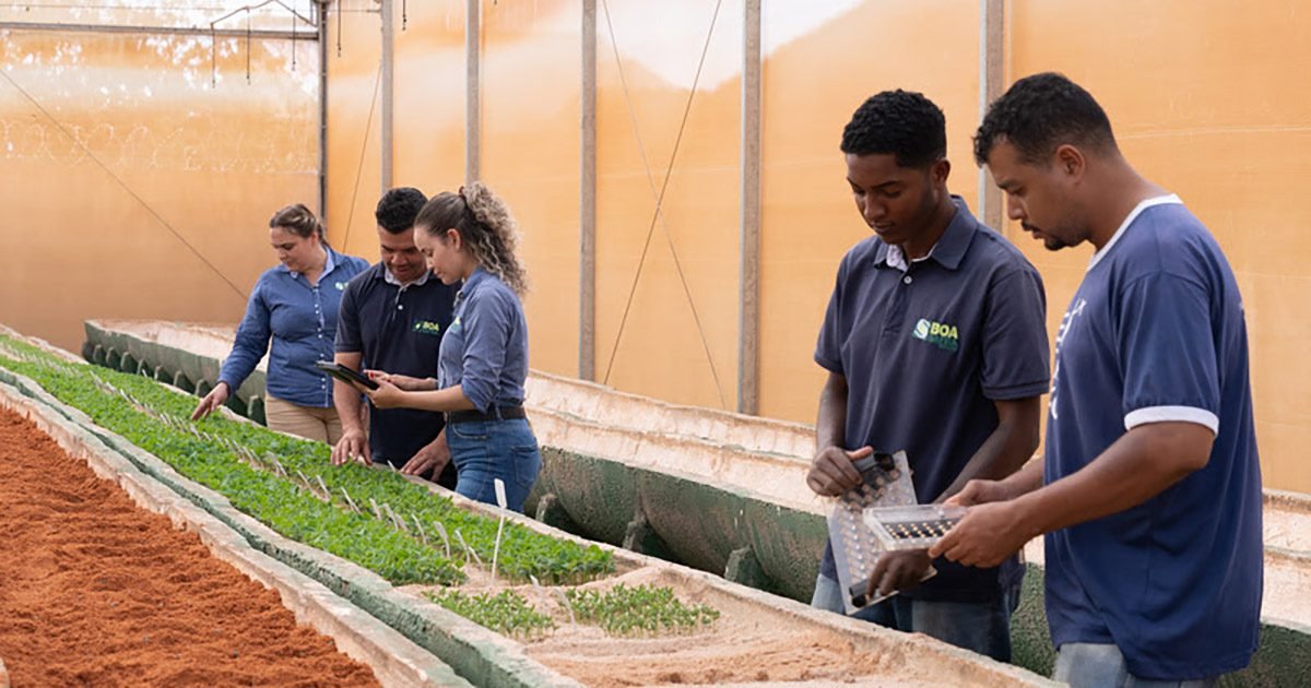 Qualidade de sementes: como avaliar e qual a importância para uma safra de sucesso