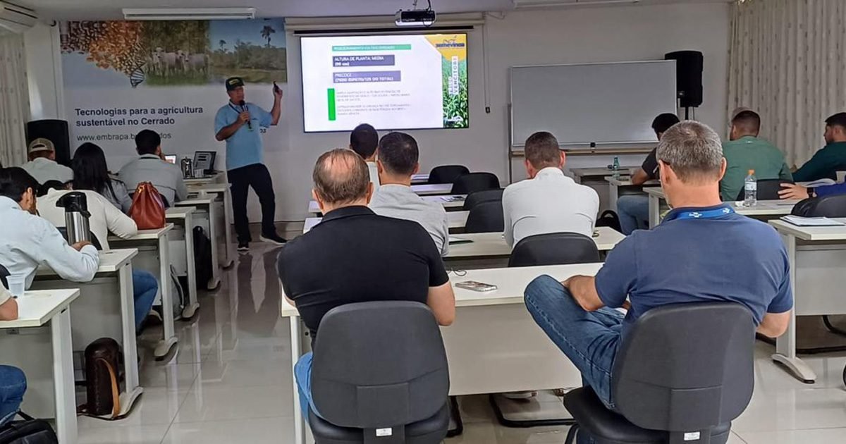 Inovação e capacitação na produção de trigo tropical