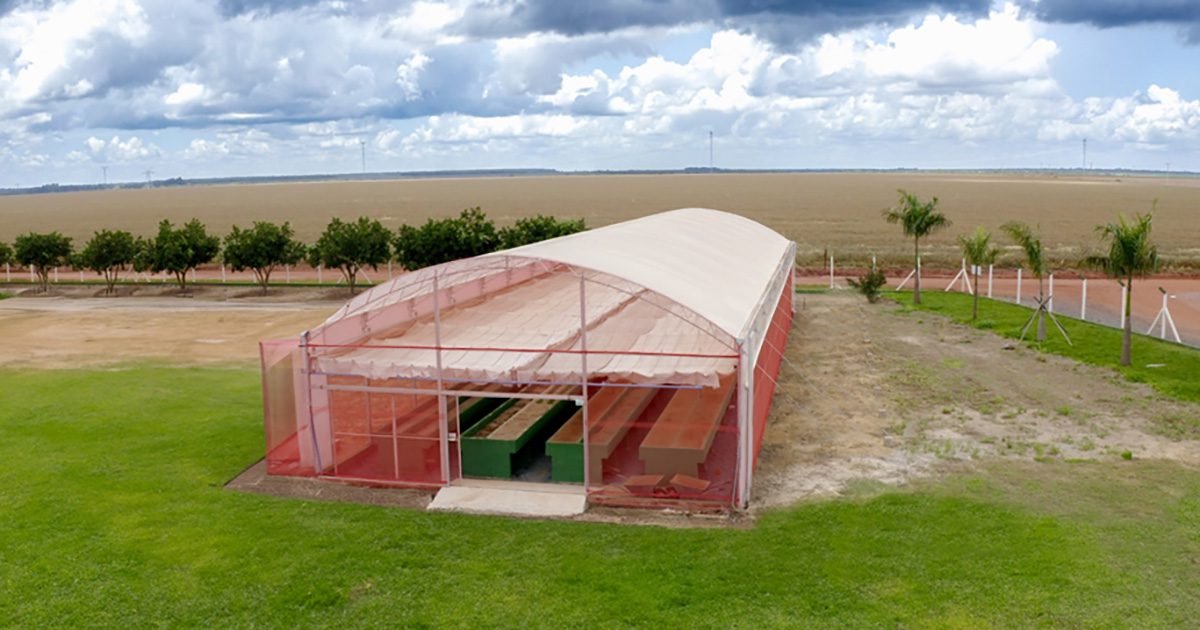 Boa Safra investe em inovações para assegurar a qualidade das sementes