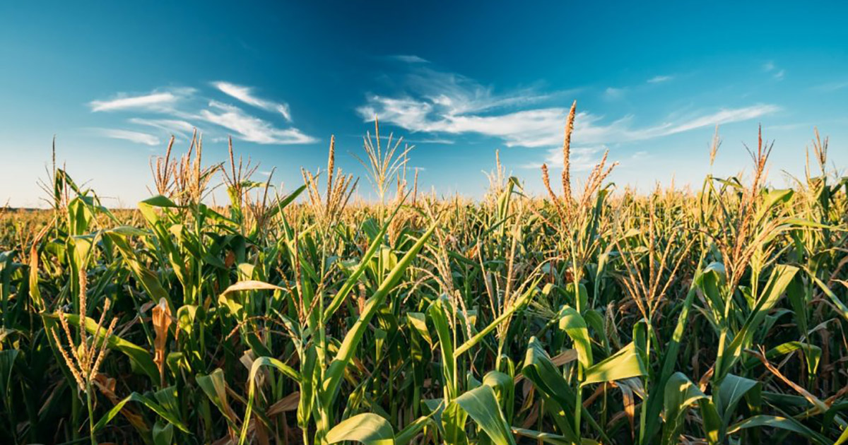 Abril exigirá atenção redobrada de agricultores, por conta do clima